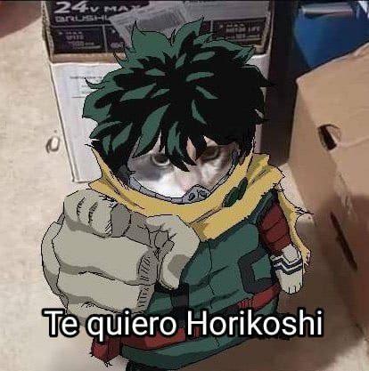 NotRafaX's tweet image. Gracias por este anime @horikoshiko 💚