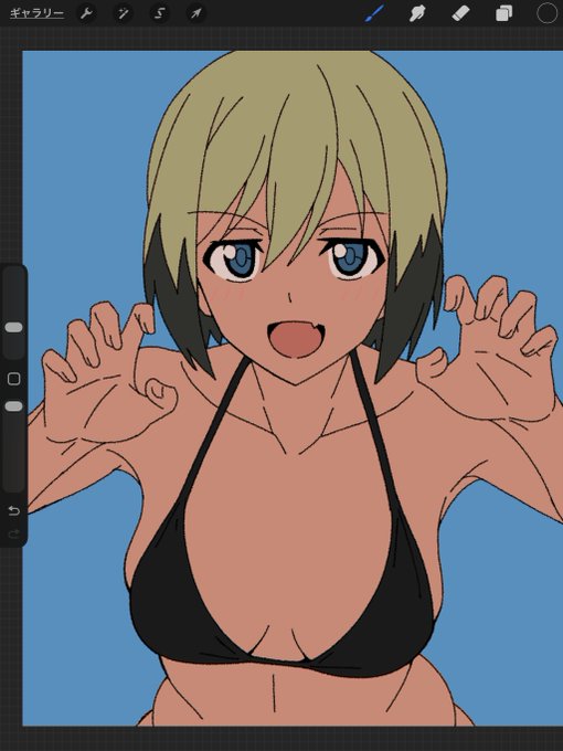 色置いたやつ。

影が多い塗りになるから最初から濃い影の部分で塗ったろの精神。

仕上げてく。 