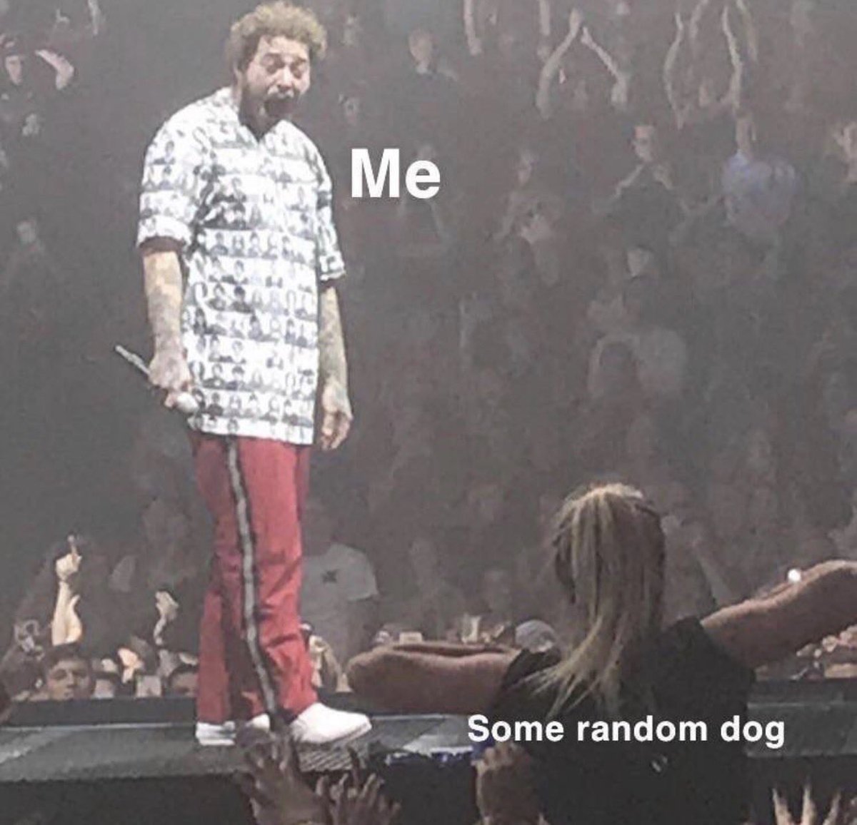 primehgss *insert something quirky* (@hgssprime) on Twitter photo 