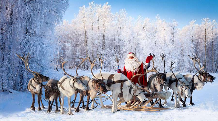 AMLTrackers's tweet photo. 🌟 21/12 — T-3
🦌🌟 Santa sightings increase around the stables and workshop. Reindeer training intensifies. Christmas Eve is getting close.
#AMLTrackSanta https://t.co/ca9EWV8BSY