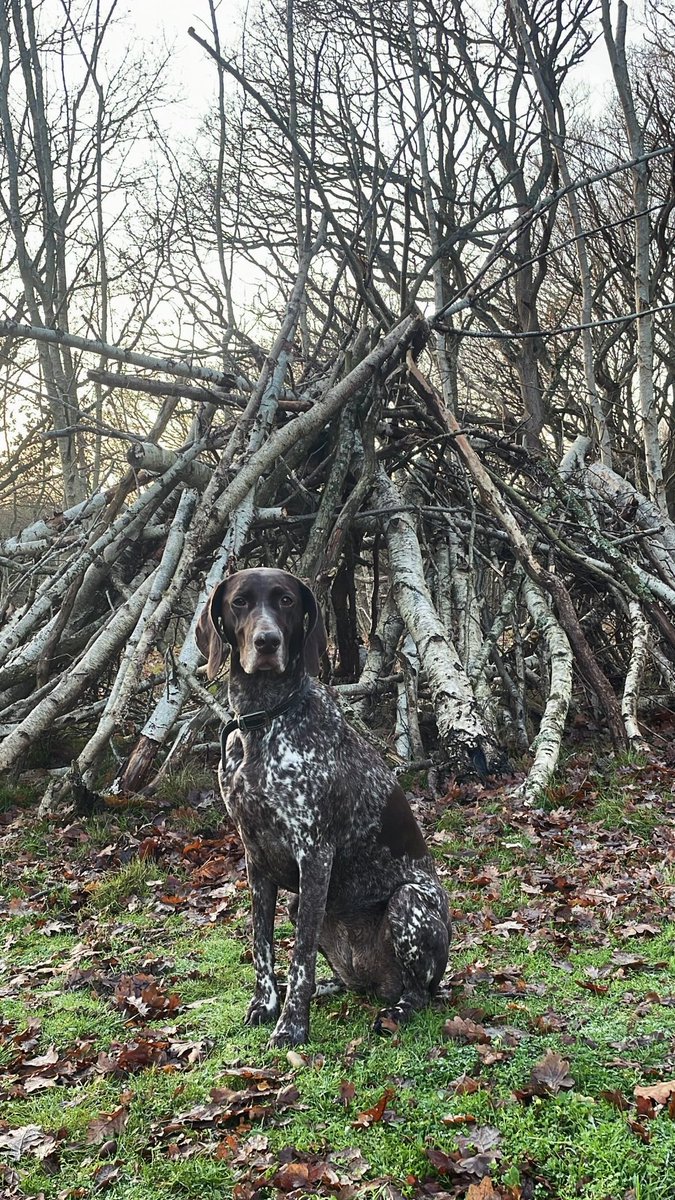 Bobby Bethell tweet media