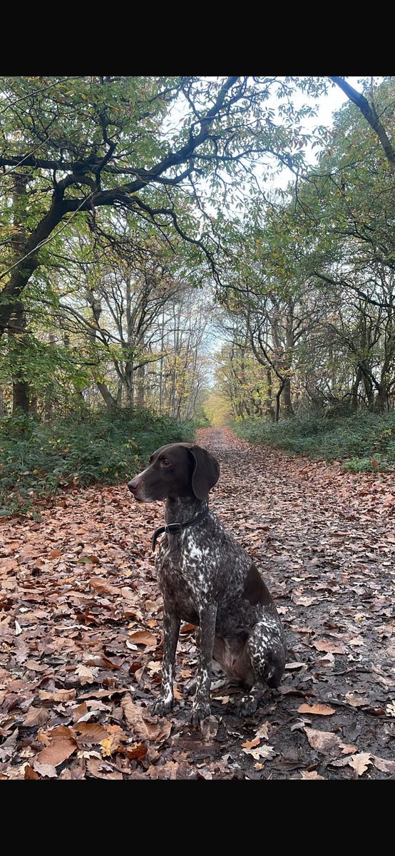 Bobby Bethell tweet media