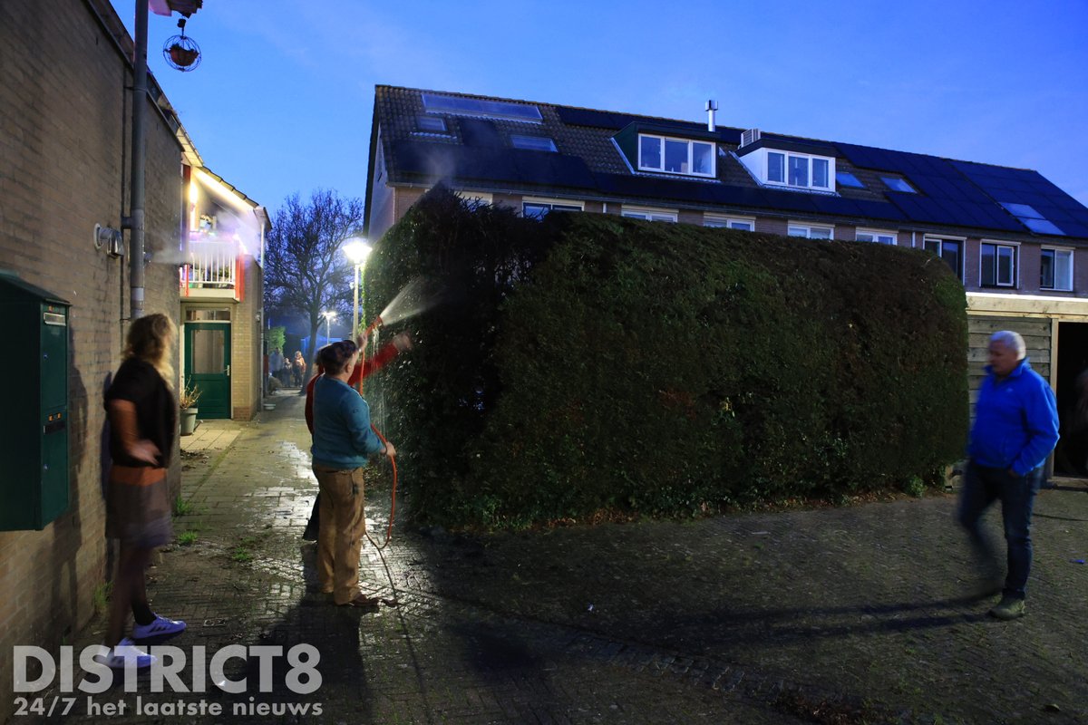 Coniferenhaag in brand door vuurwerk op Kasteellaan in Schipluiden