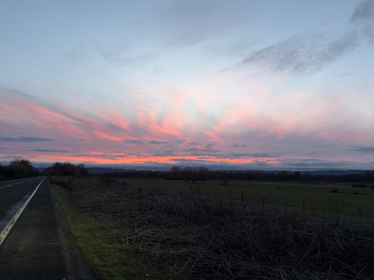 ✨ Cae ✨ tweet media