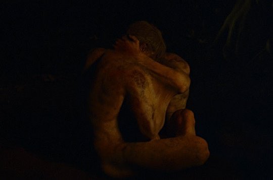 FILME DA DÉCADA! Há 1 ano, QUEER, de Luca Guadagnino, estreava nos cinemas.