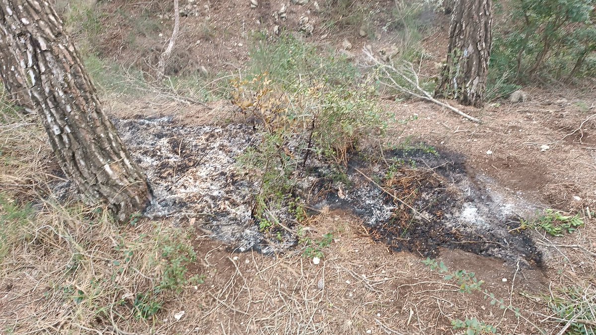 ADF Rossend Montané tweet media