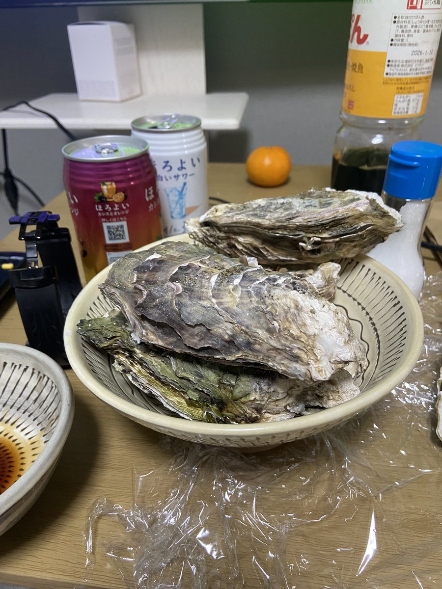 たけにぃ たけにぃ／LyNx (@FzLyNx) / Posts / X