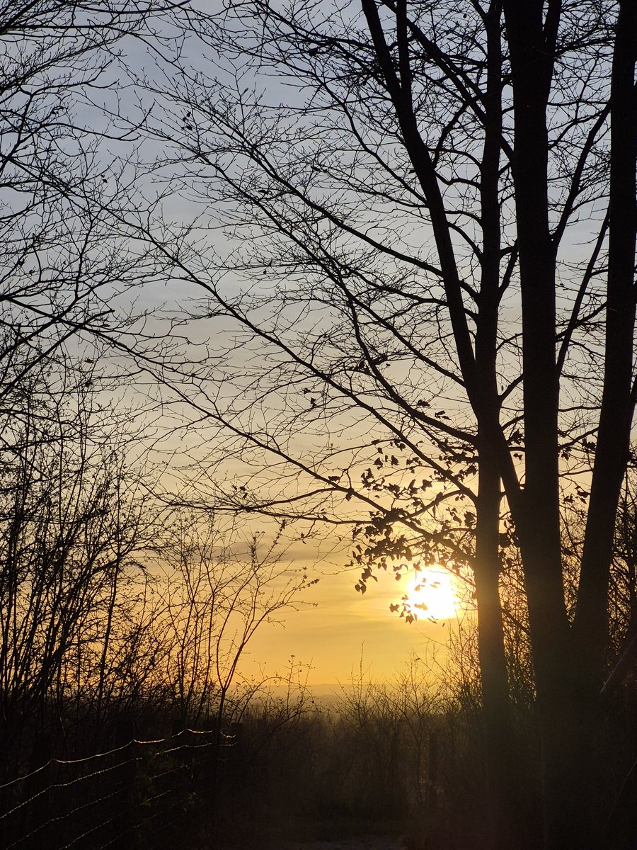 @MagogDown tweet media