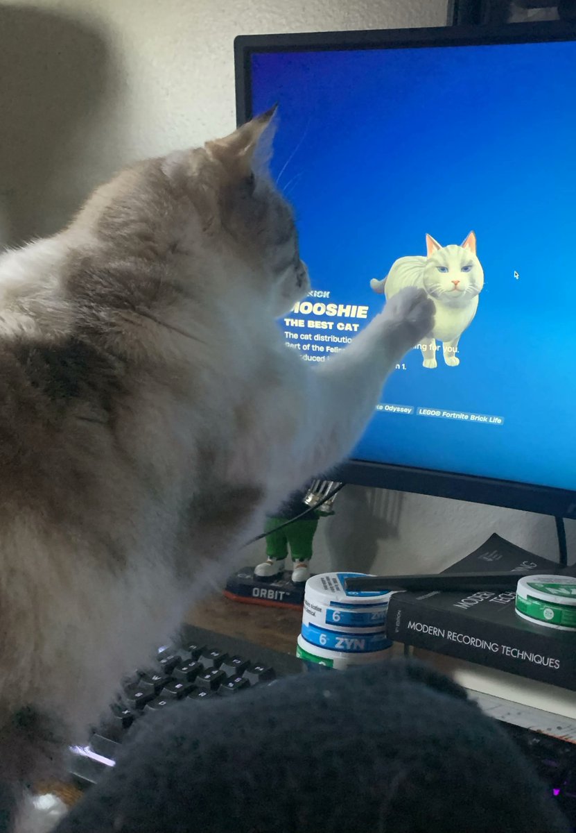 Los 1.200 pavos merecieron la pena solo por este momento 💗

📸 u/floatalittlemore