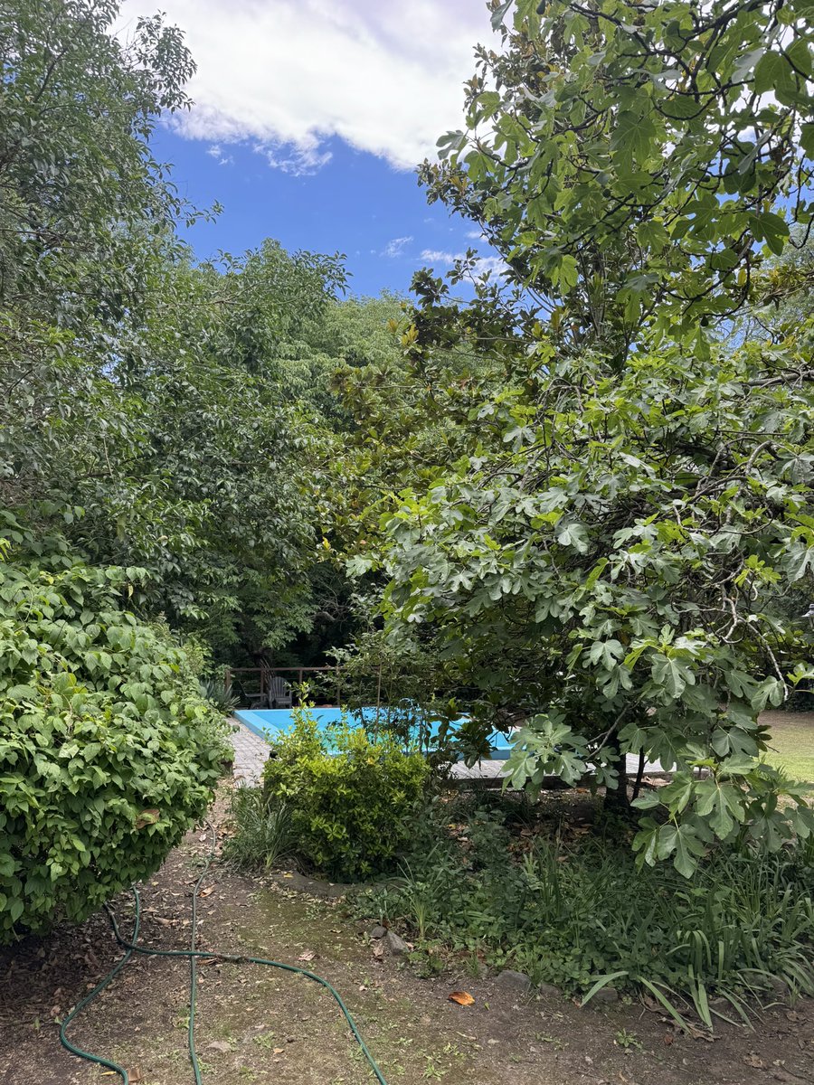 Sábado en las sierras