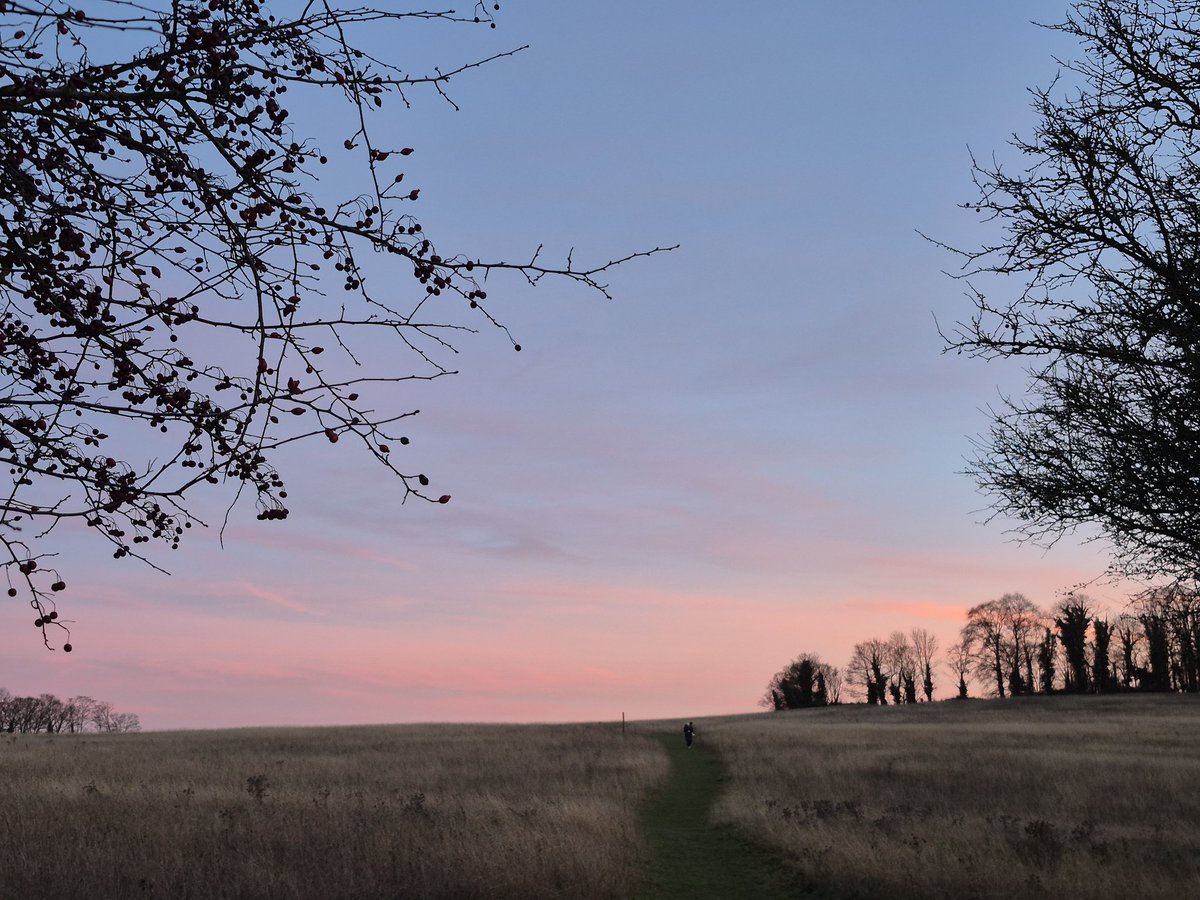 @MagogDown tweet media