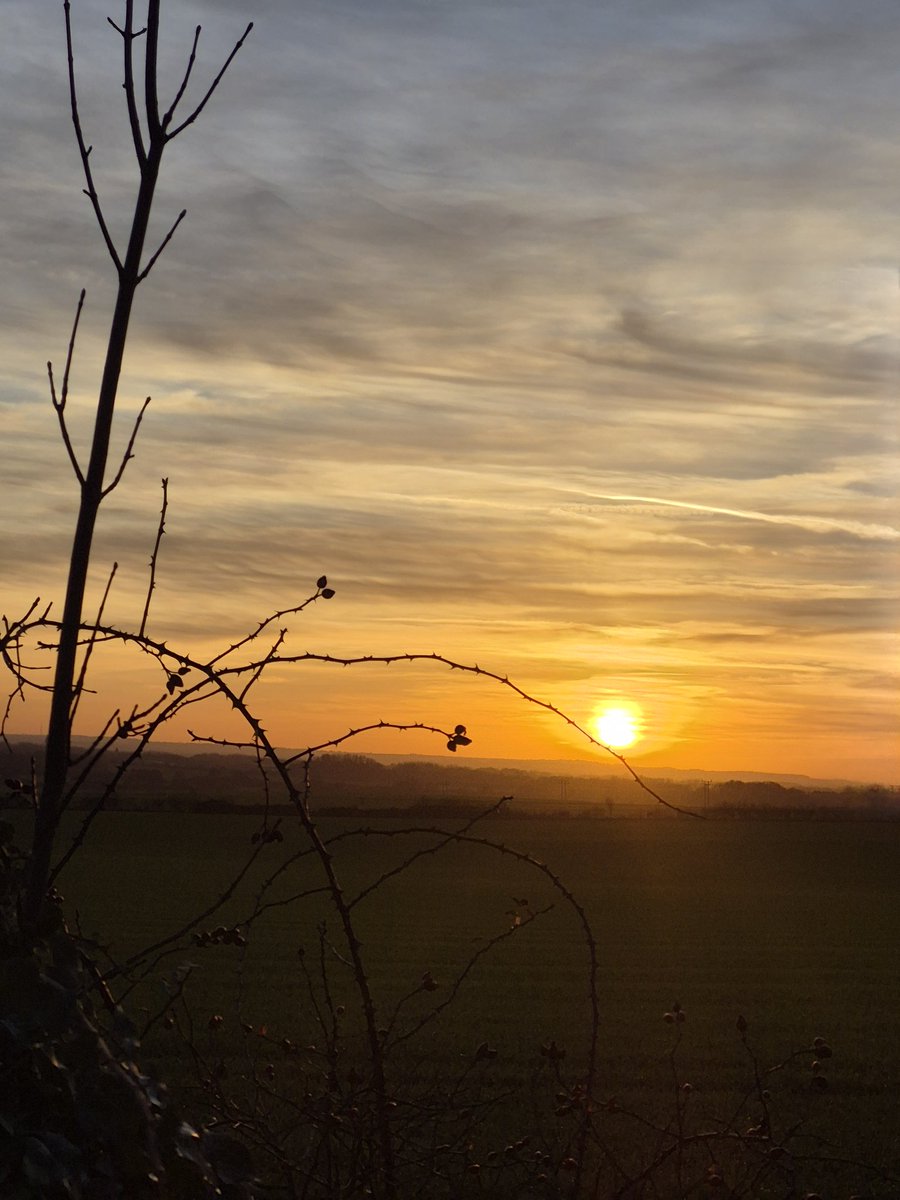 @MagogDown tweet media