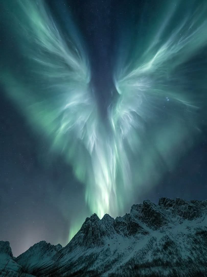 Marisol Montiel 34🌹❤️ tweet media