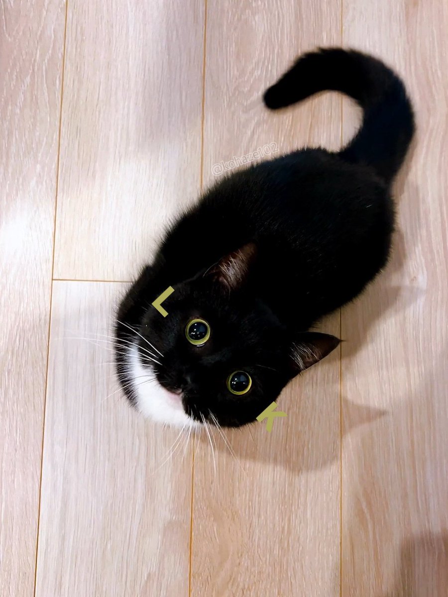 kohaze102's tweet image. L O O K