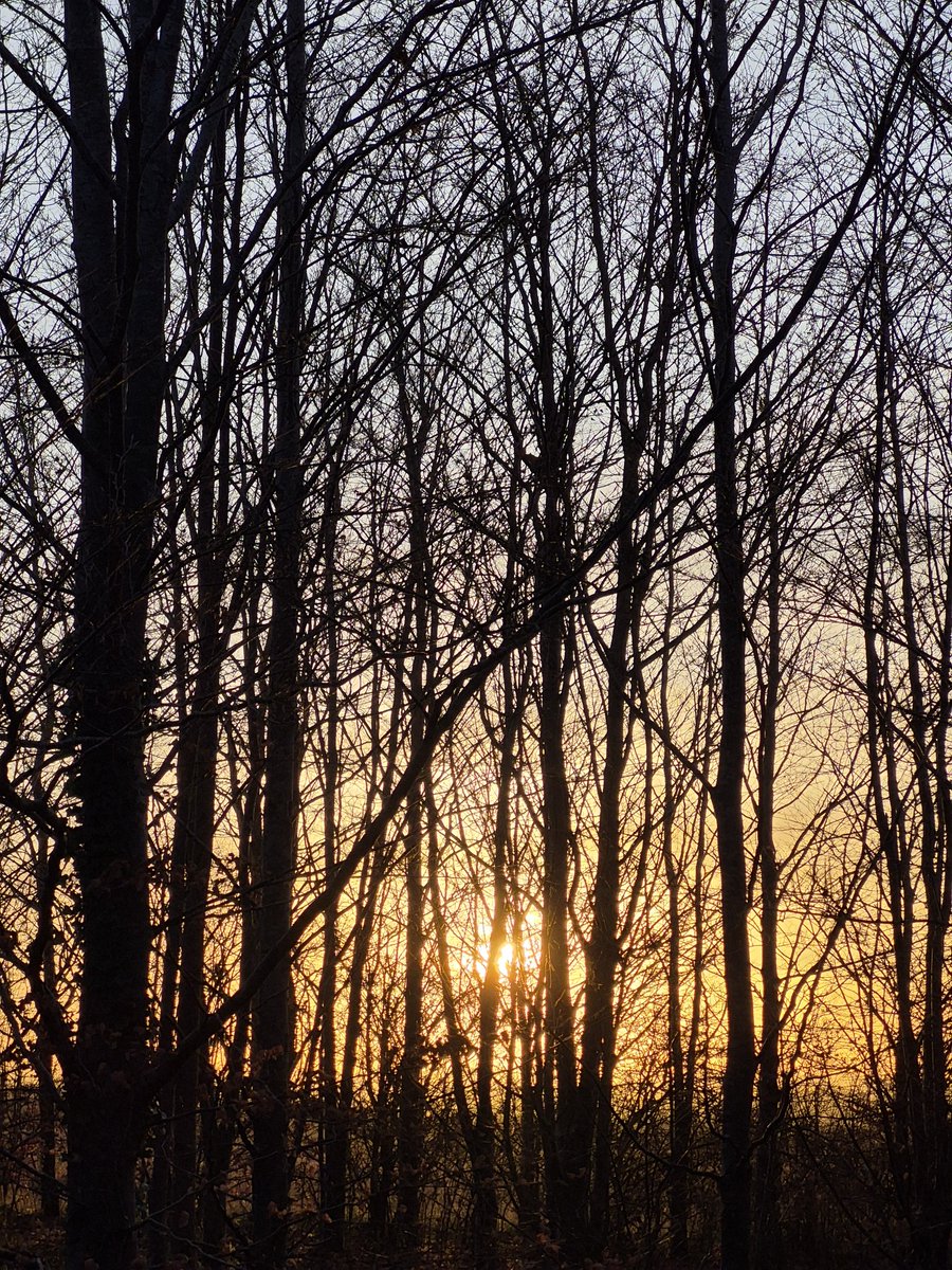 @MagogDown tweet media