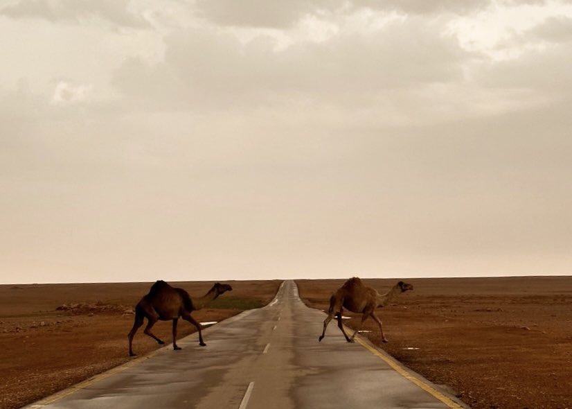 "عسى غرّ السحايب يوم تقبل بالحيا والخير
ما تقفي لين تروي داركم و تربّع فياضه.."