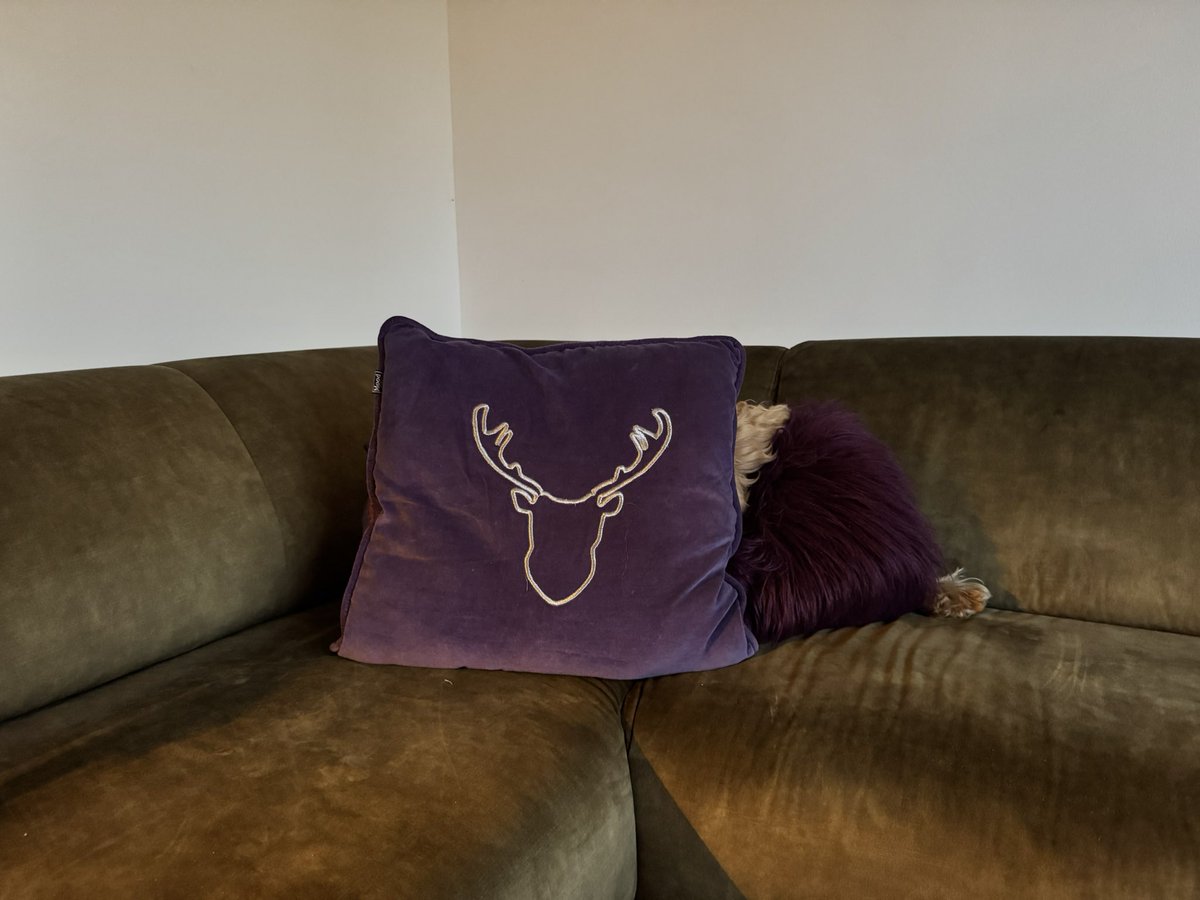 Welkom bij de 416e aflevering van uw favoriete gameshow ‘Zoek de Beppert’!
Zoals altijd hebben wij ons uiterste best gedaan om ‘t zo moeilijk, maarrr…ook zo leuk mogelijk voor u te maken! 
Dus veel zoekplezier!

En…Over de uitslag kan niet gecorrespondeerd worden!
Dank u wel!