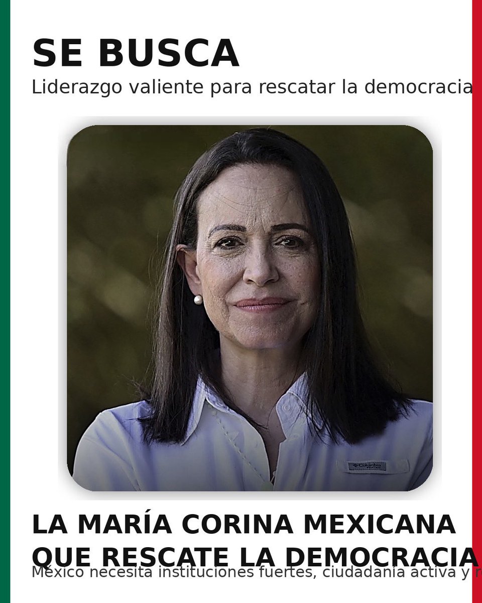 Fernando Valenzuela Migoya tweet media