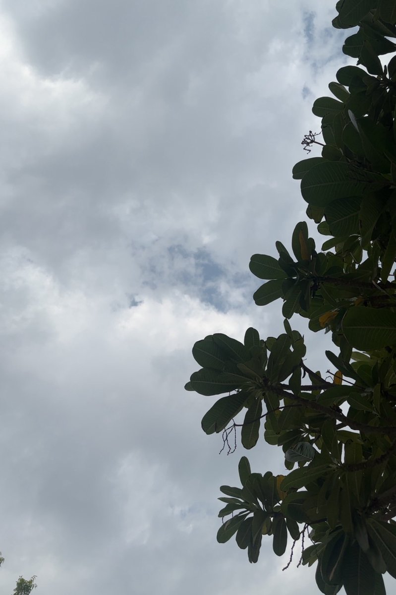 sovxco's tweet image. Finals vibes ☁️