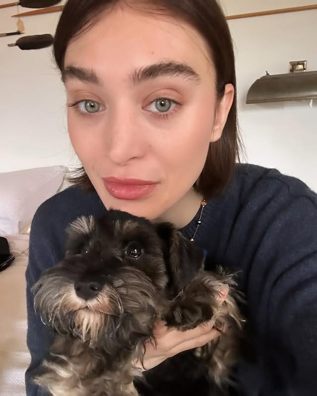 Emily Farash tweet media