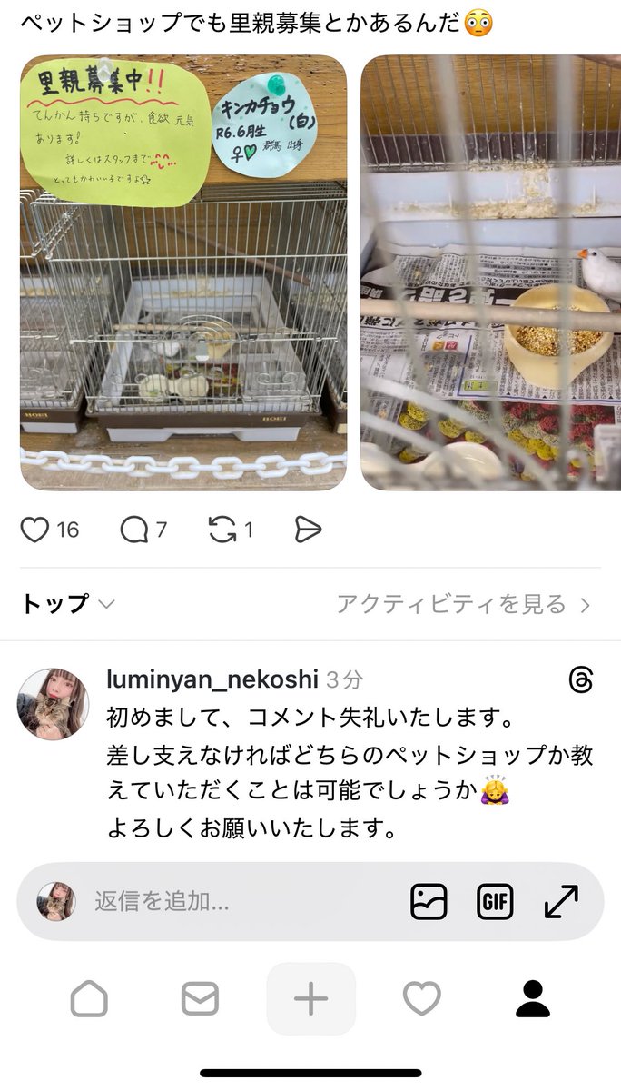 ああああああああああああああ