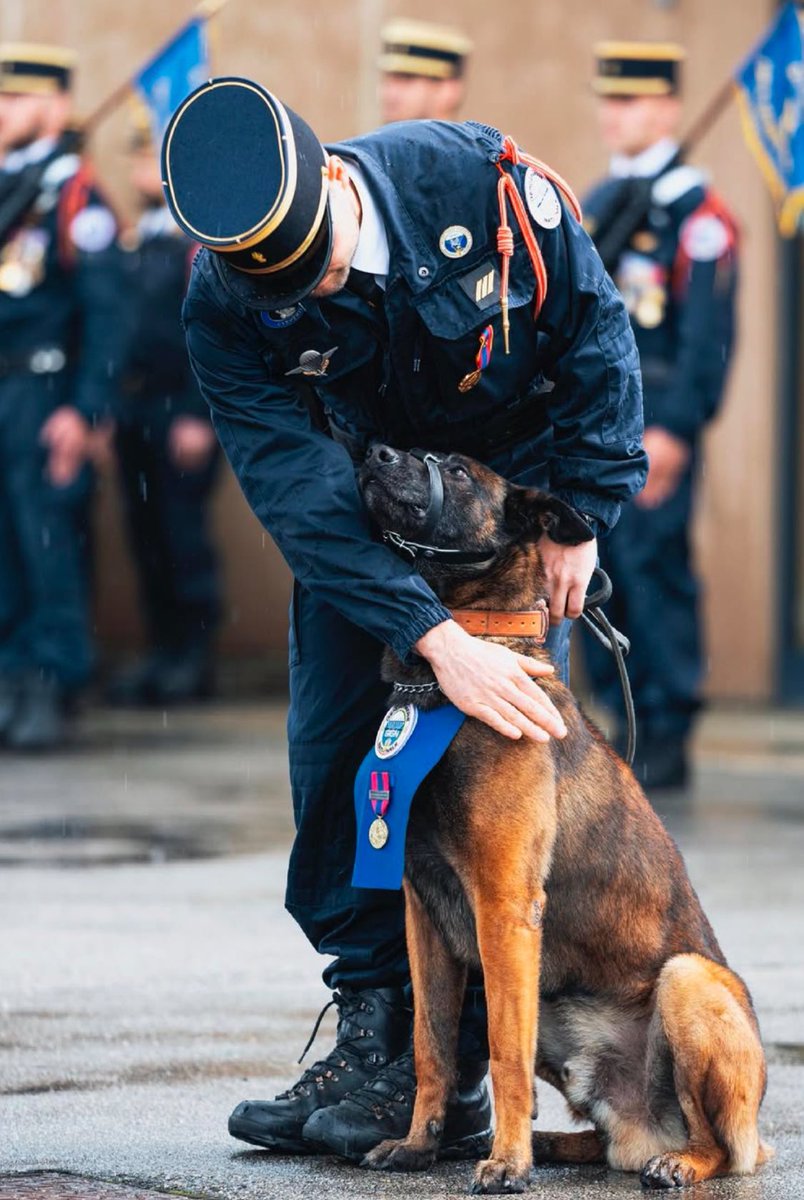 En septembre 2020, un forcené, retranché à son domicile, ouvre le feu à 141 reprises sur les gendarmes du GIGN.

Profitant d'une opportunité, il est mis en œuvre par son maître et pénètre avec dynamisme dans l'habitation tenue par le forcené.

Il a été décoré le 18 mai 2021.