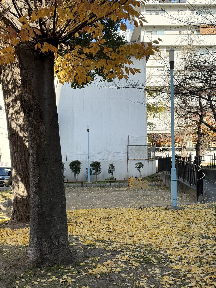 雷磊1 (@llllayler) on Twitter photo 