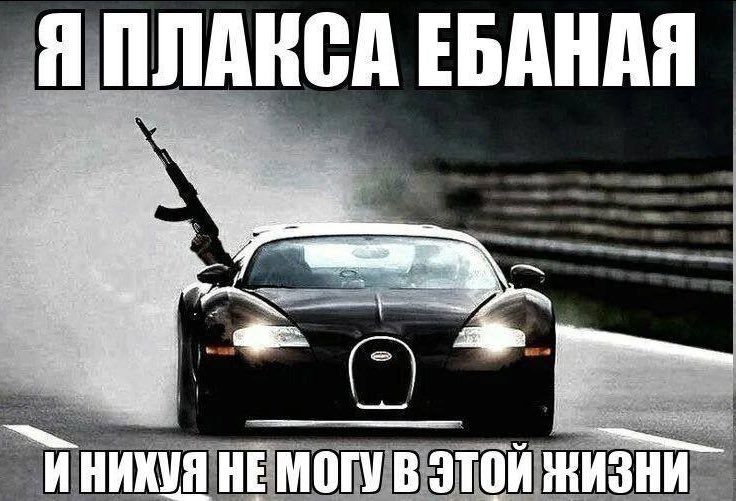 potatin_tinofei's tweet image. 