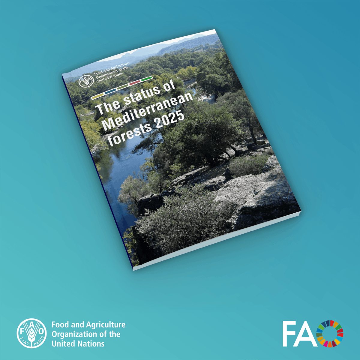 🌲🔥🏙️ Mediterranean forests are under pressure from wildfires, urban sprawl and #ClimateChange. 

🚨 Sustainable forest management is no longer optional - it's urgent.

📘 Find out more in this @‌FAO report: The status of Mediterranean forests 2025

🔗doi.org/10.4060/cd6921…