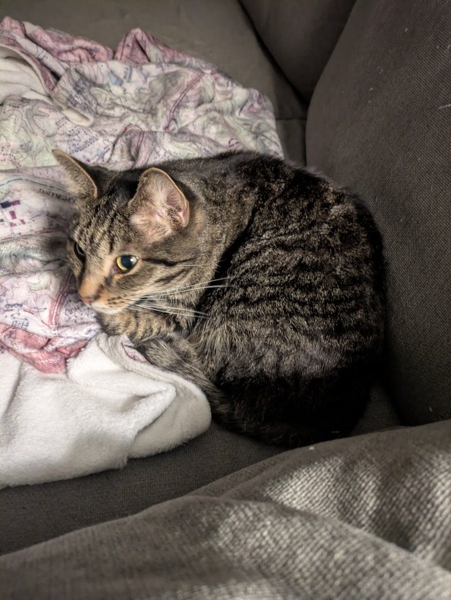 Angel-Alanis 🙈 tweet media