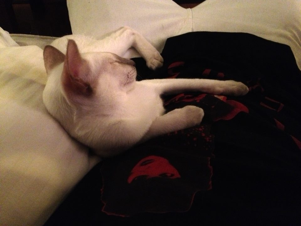 Baby Jasmine! (2013):