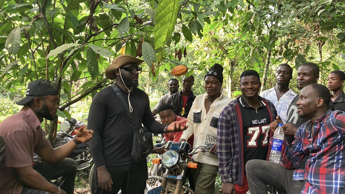 Sam Lambert 🌴 tweet media