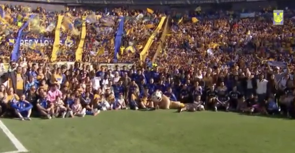 RafaDato2's tweet image. Tigres reunió 35,000 aficionados en su entrenamiento en el Universitario rumbo a la Final del Apertura 2025

Cifra récord