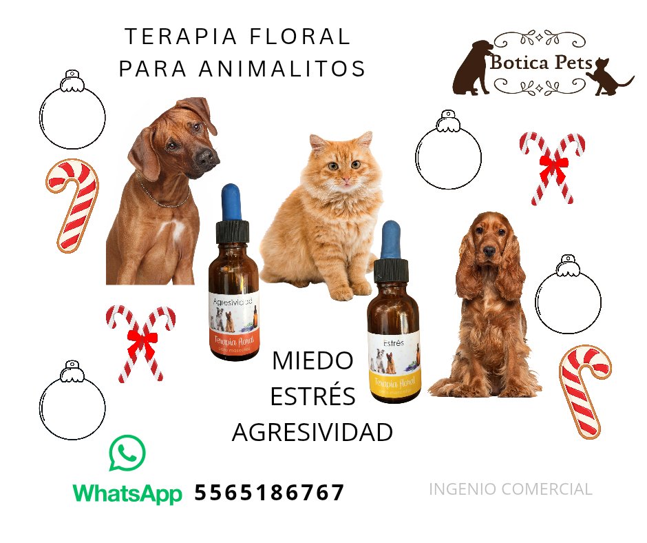 BoticaPets's tweet image. ¿Para cuándo?