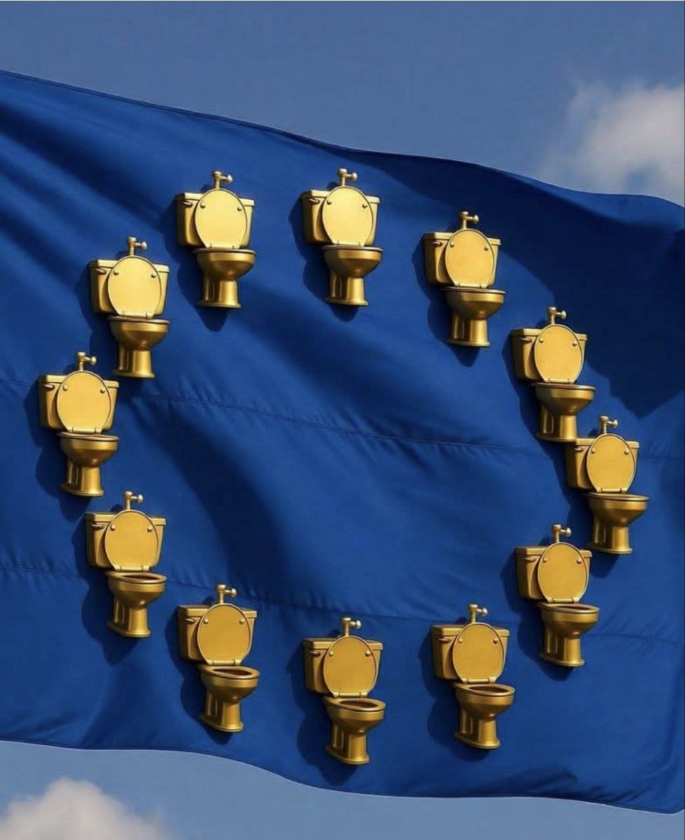 Dalle stelle alle stalle, e ai cessi d'oro il passo è breve 👌🤣 #noeurope
