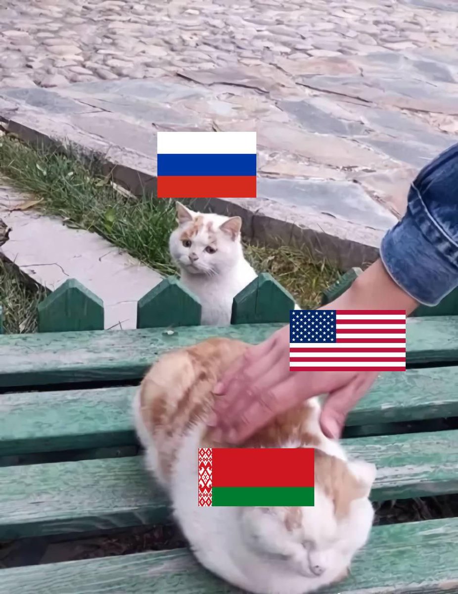 Дмитрий Кисиев (@kisievdt) on Twitter photo 