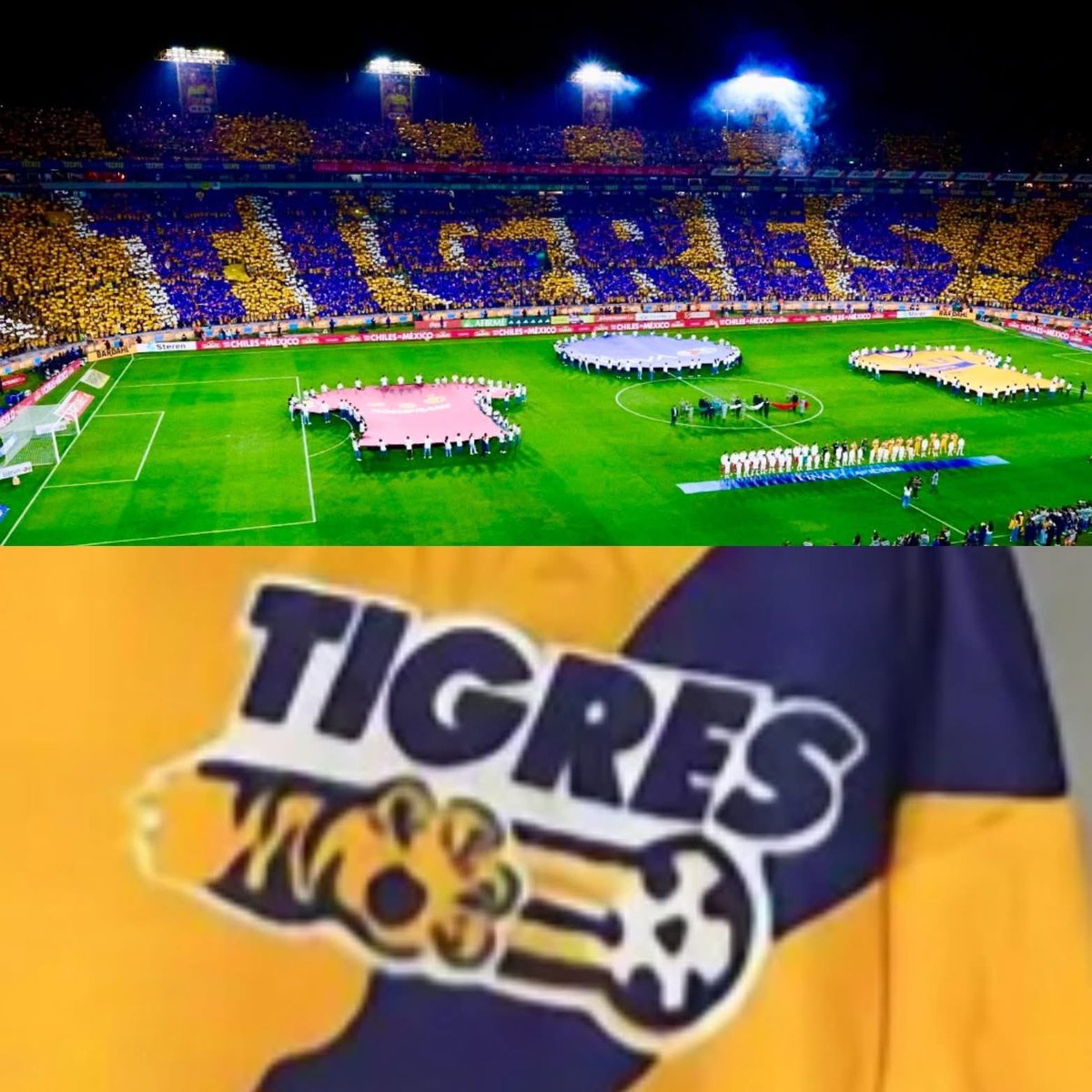 𝕃𝕒 𝕋𝕖𝕒𝕔𝕙𝕖𝕣 🐯 tweet media