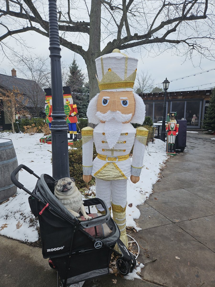 Guppy ' s mom tweet media