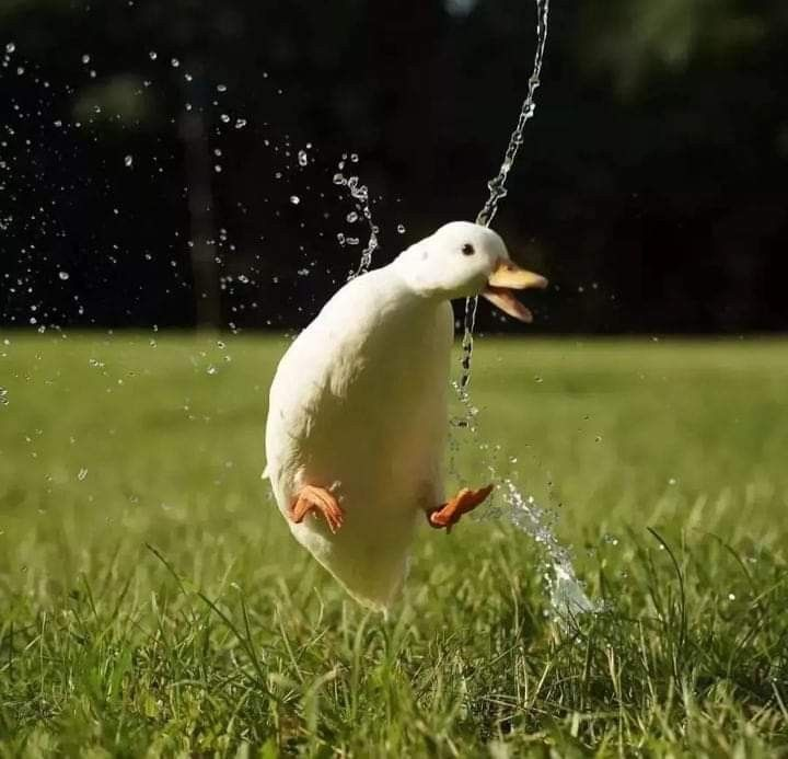 Post you and your celeb lookalike