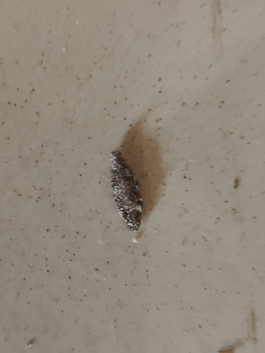 RohitWaje's tweet image. Except the sea view, no positive point I count find. Common areas are also not properly cleaned. Never seen a dirtier hotel than this.
#vits #hotel #dapoli #cleartrip