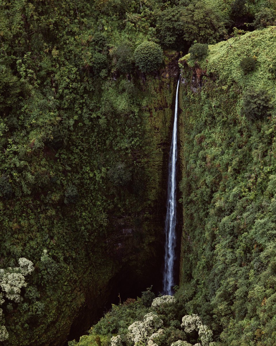 FSMaui's tweet image. Maui’s waterfalls invite you into a world few ever see, one that is remote, untouched, and endlessly inspiring. Our Concierge can guide you to the island’s most breathtaking escapes.

Captured by @nettletonroad

#FSMaui #FourSeasons #Maui