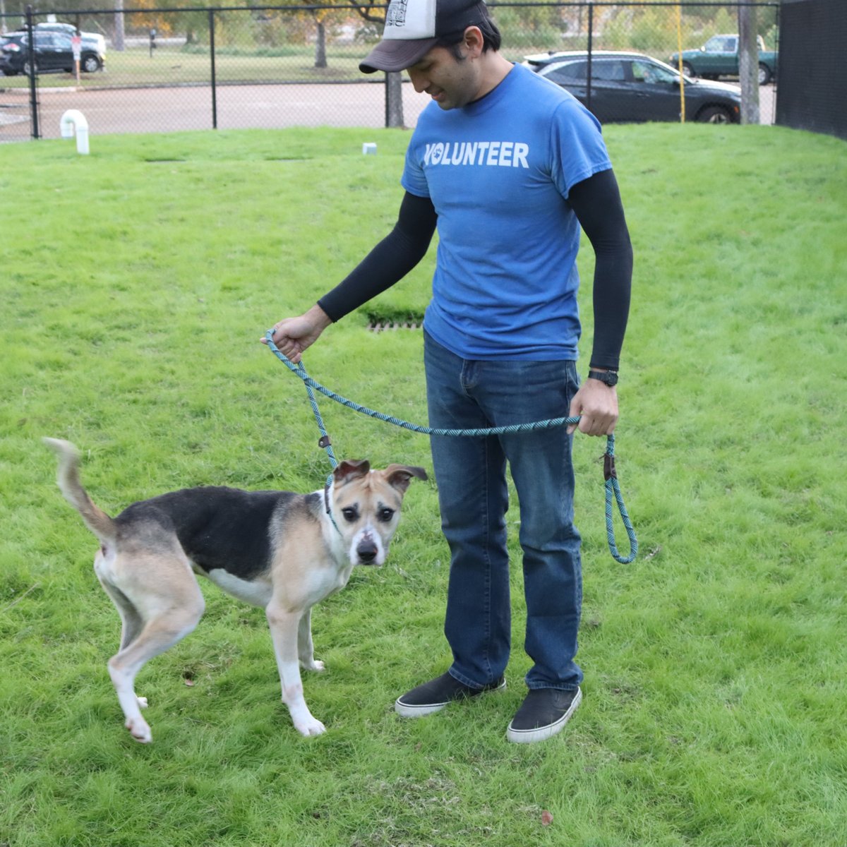 HoustonSPCA's tweet photo. 🐾 Ready to make a difference AND have fun? Join the Houston SPCA family as a volunteer! 🐶🐱 Meet animals, learn new skills, and spread love every day. Apply now and start your adventure: https://t.co/f3CGl9bj7W 💛 https://t.co/mWk34gFUQx