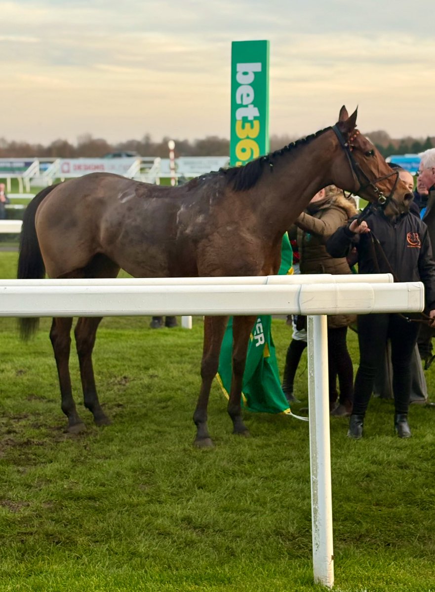 FluffyPickle's tweet photo. Lavida Adiva a winner for the fabulous @NRuthJefferson in the listed mares hurdle congratulations all x https://t.co/smZlOh6lY7