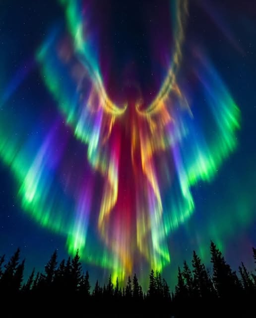 Alaska’s night sky turned into something unreal last night✨🌌 

Nature itself painted this moment as the aurora borealis twisted into what looks like glowing angel wings, flowing and reshaping in real time above the forest. Not a painting. 

Not CGI. Just charged particles