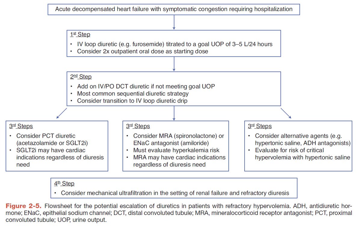 edgarvlermamd's tweet photo. Diuretic resistance: Treatment from @dhekidney 
#Nephpearls

https://t.co/qCD2U6MnCu https://t.co/4xKAoNM5OB