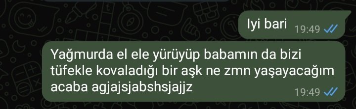 Hayallerle gerçeklik birleşince bir bok olmayacak gibi gözüküyor SGJABSAJJA