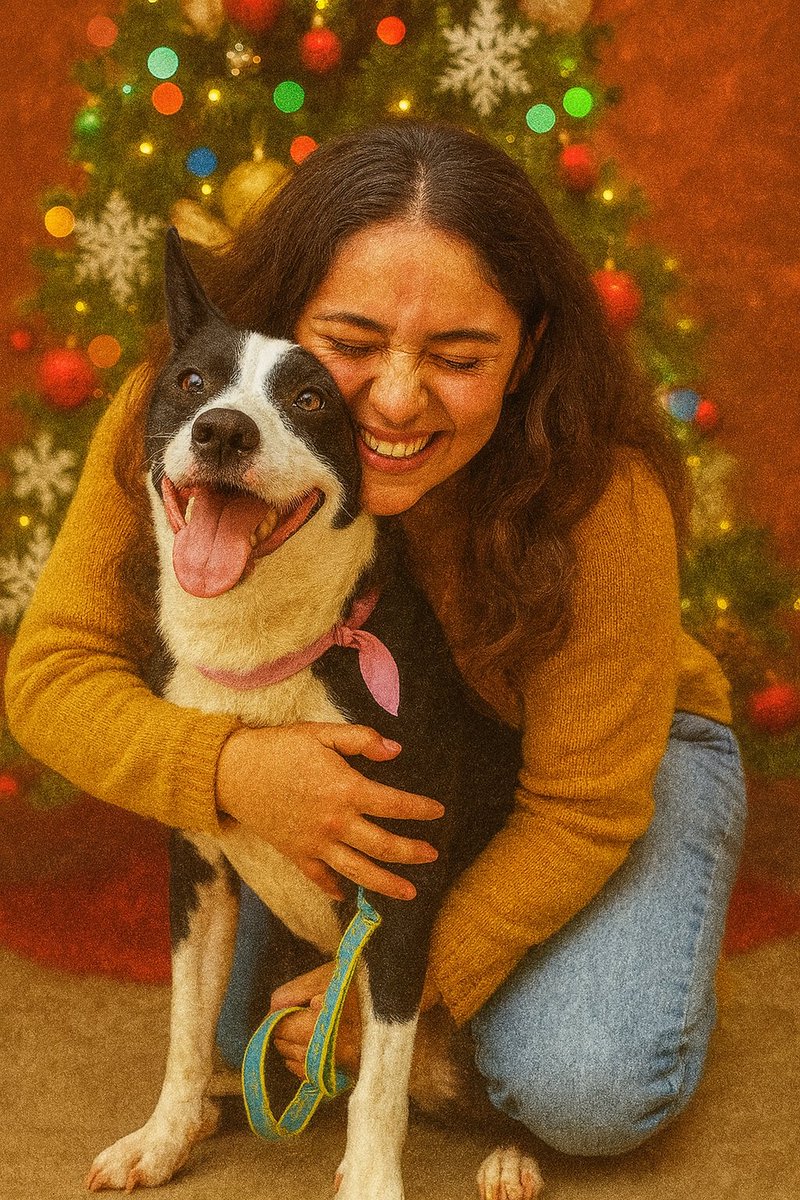 Gatánica tweet media