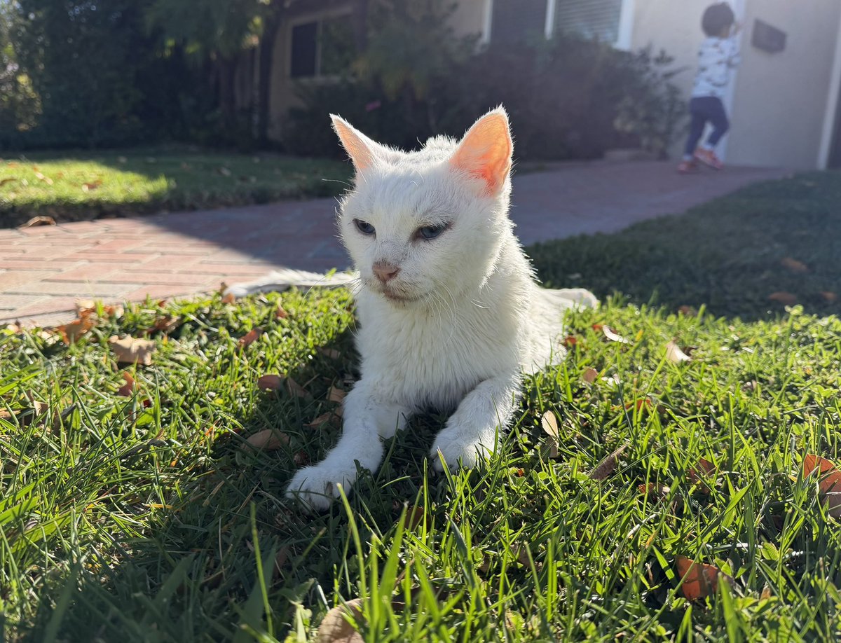 FromCaliko @MAGFest tweet media