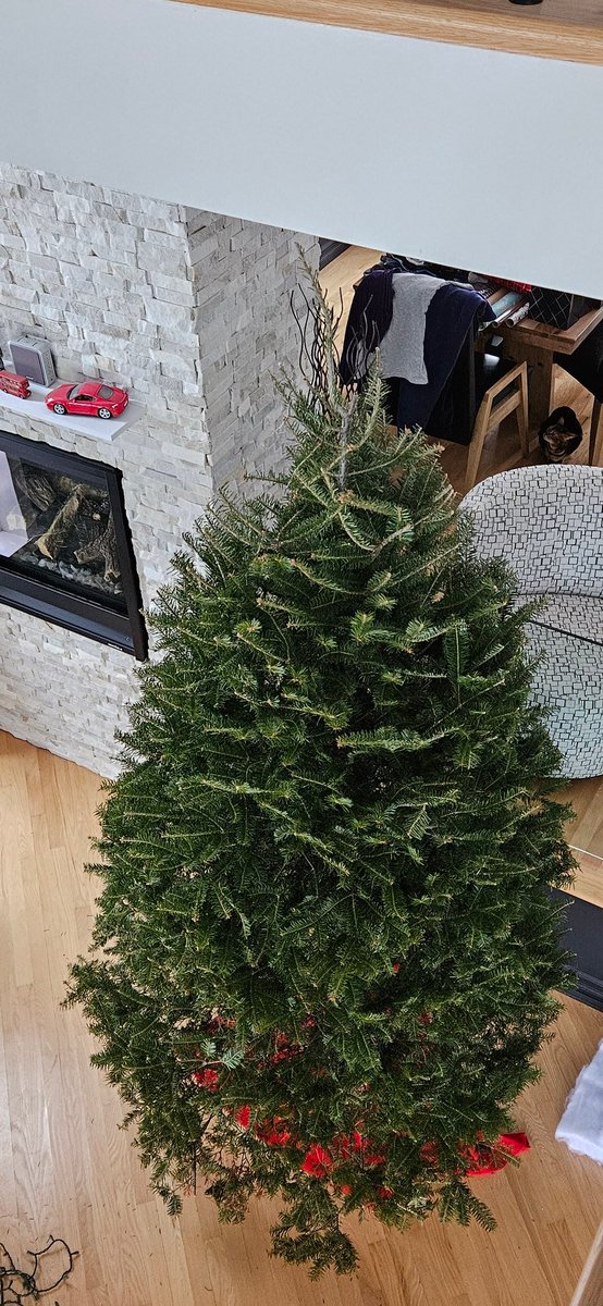 Fait que j'ai acheté un sapin de Noël... Je trouvais que celui que ma blonde avait acheté l'an passé était petit, j'me suis dit que j'allais en prendre un plus gros.
Disons que dehors il avait l'air plus petit, finalement il fait 9 pieds et demi 😬, ça va prendre d'autres boules!