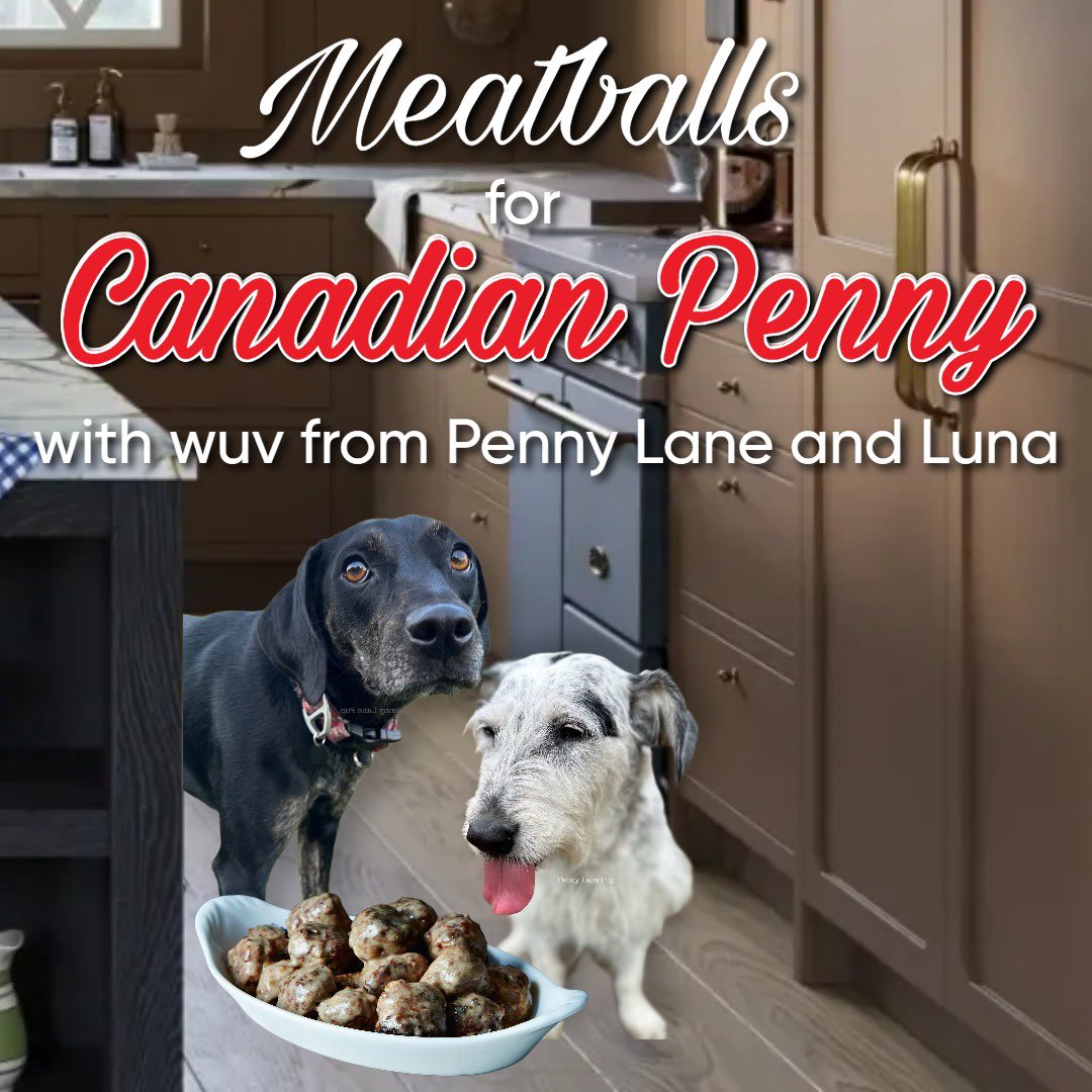 Penny_Lane_Pup's tweet photo. Today we are eating meatballs in honor of my bestie, my sister from another mother, my Penny twin!

We miss you more dan words can say!
#meatballsforcanadianpenny https://t.co/9FMAnzD8j4